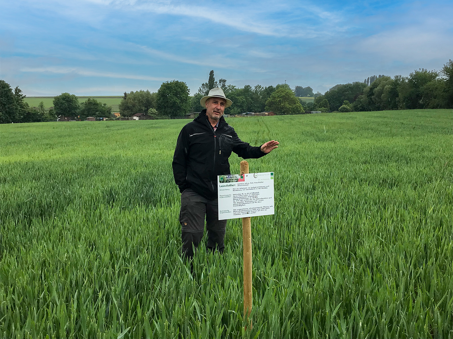 Armin Meitzler bei VFW